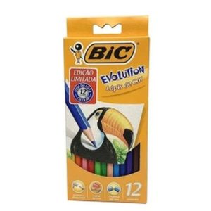 Lápis De Cor Evolution Sextavado Bic Com 12 Cores