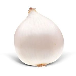 Cebola Branca Seca
