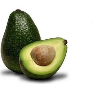 Abacate Avocado
