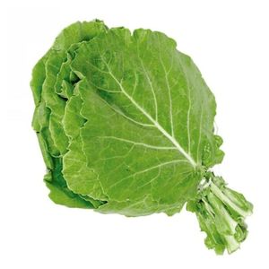 Couve Manteiga Maço